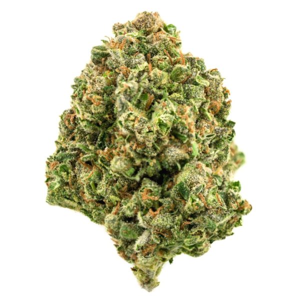 Buy Durban Poison Marijuana Strain