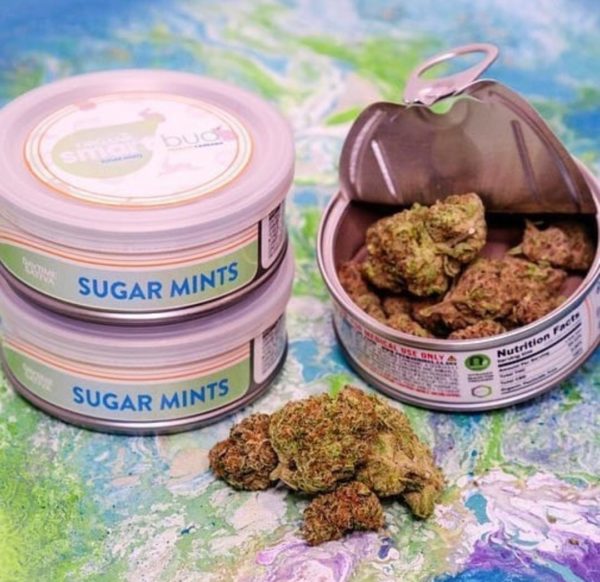 Buy Sugar Mint Smart Buds