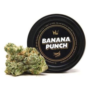 Buy Banana Punch by West Coast Cure