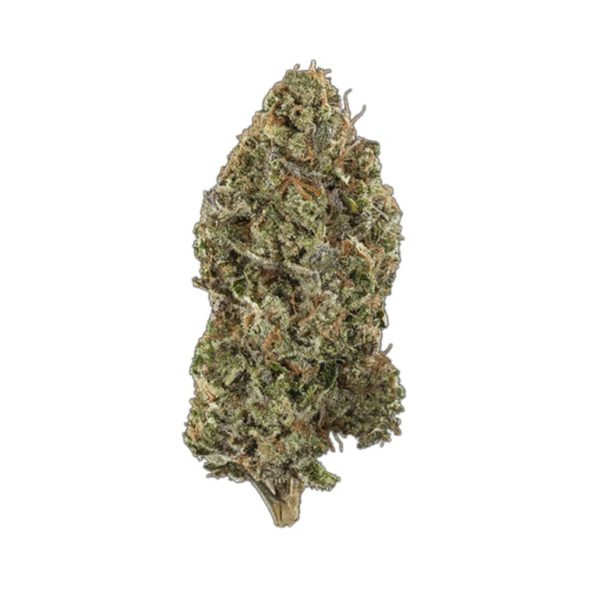 Buy Lavender Kush Marijuana Online