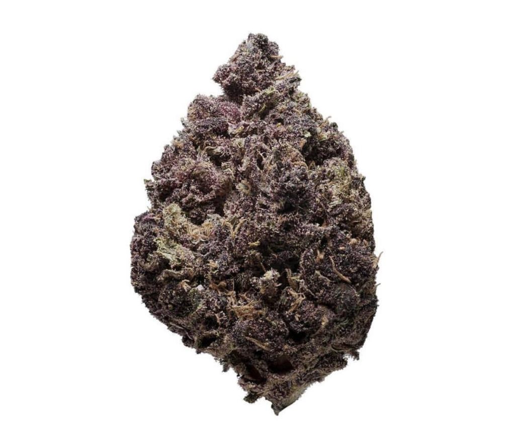 Buy Purple Haze Marijuana Strain | Order Purple Haze Strain