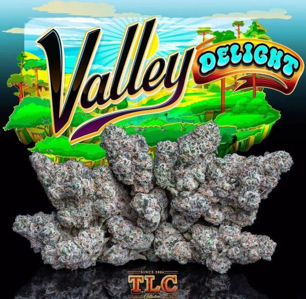 Buy Valley Delight Jungleboys Online