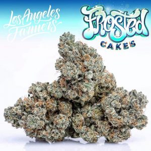 Frosted Cakes Jungleboys
