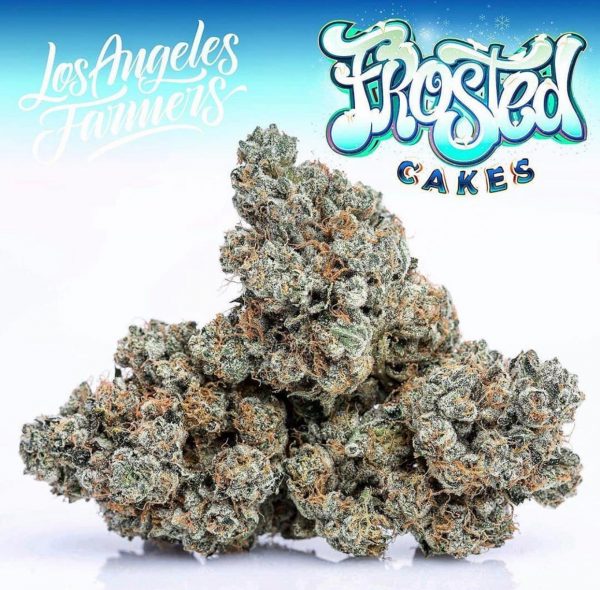 Buy Frosted Cakes Jungleboys Online