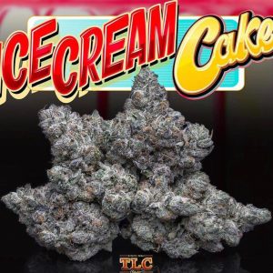 Buy Ice Cream Cake Jungleboys Online