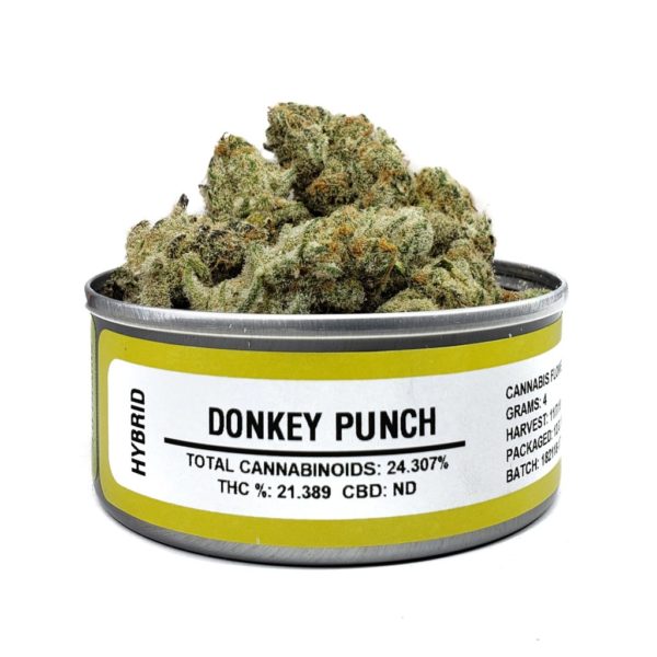 Donkey Punch Space Monkey Meds
