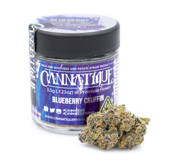 Blueberry Cruffin Cannatique
