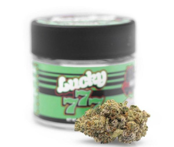 Buy Lucky #7 Strain by GasHouse