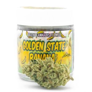 Buy Golden State Banana by Synergy