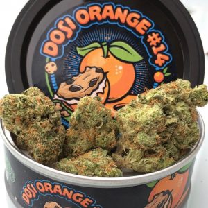 Dosi Orange #14 Big Smokey Farms