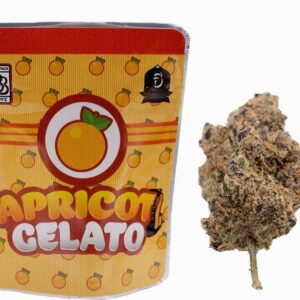 Buy Apricot Gelato Backpackboyz Online