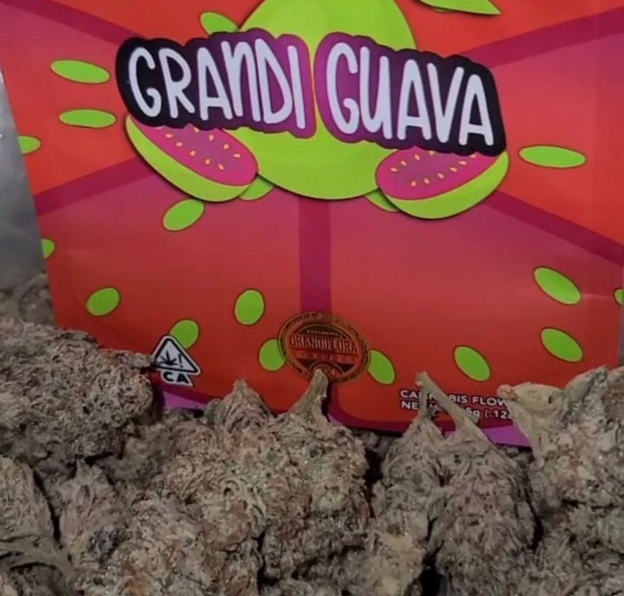 Buy Grandi Guava Grandiflora Strain Online